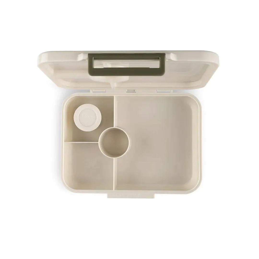 Citron Lunch Box Tritan - Dino