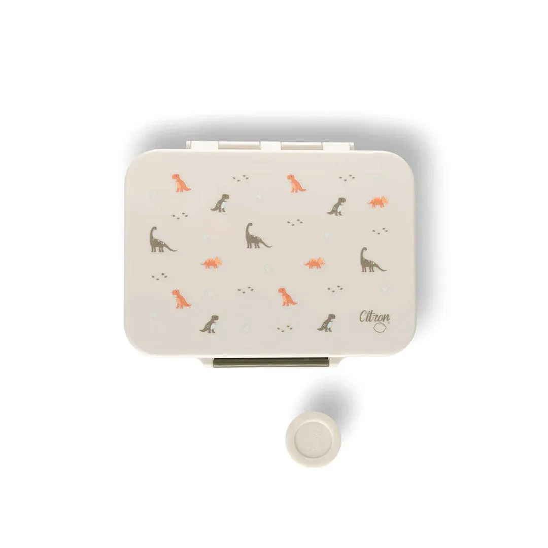 Citron Lunch Box Tritan - Dino
