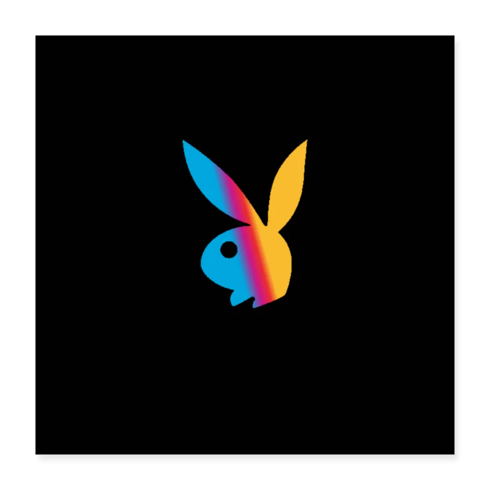 COLOR PLAY Poster 16x16