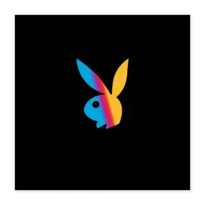 COLOR PLAY Poster 16x16