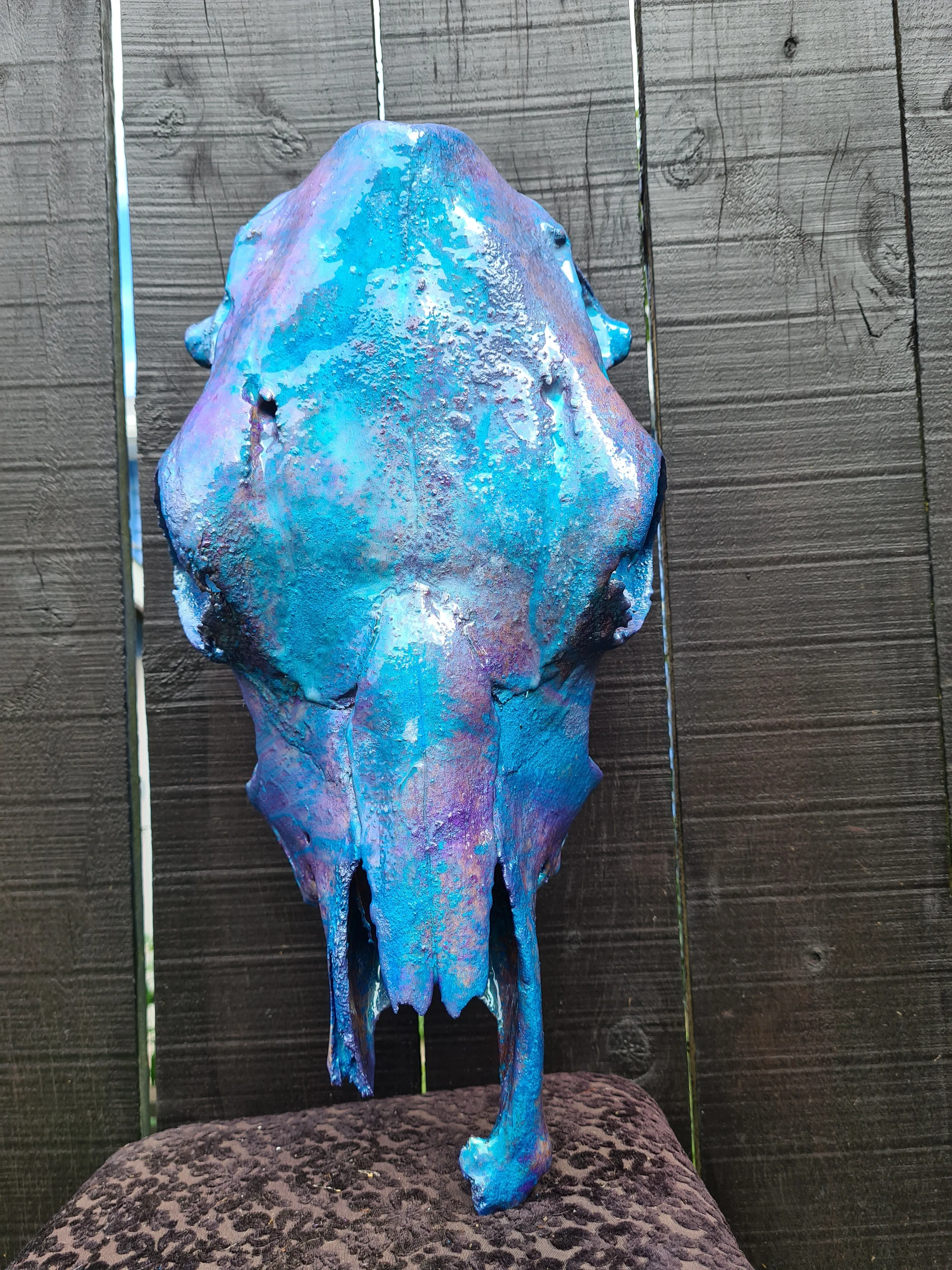 COST🔥GENUINE COW SKULL -backlit lighting ,painted with chameleon resin by me