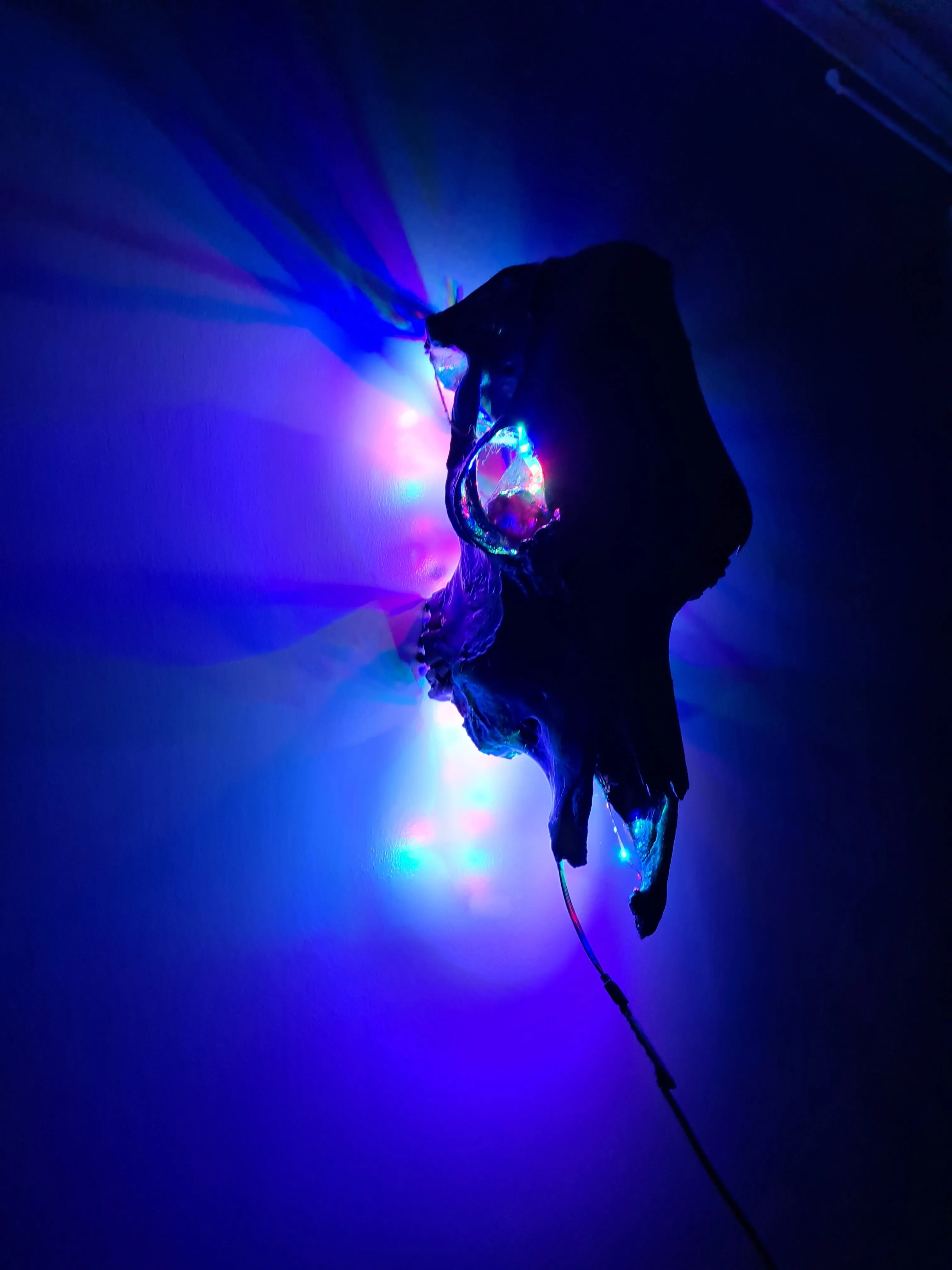 COST🔥GENUINE COW SKULL -backlit lighting ,painted with chameleon resin by me