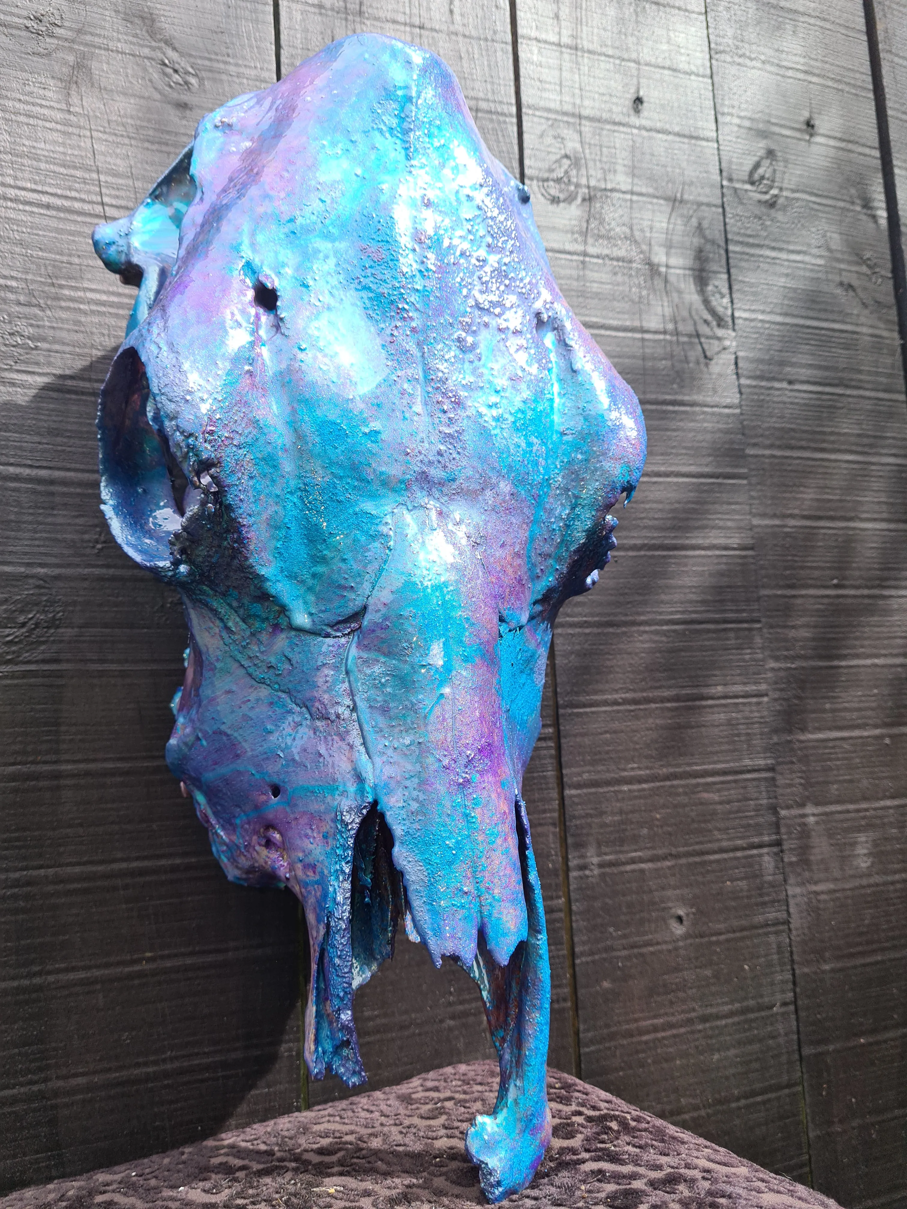 COST🔥GENUINE COW SKULL -backlit lighting ,painted with chameleon resin by me