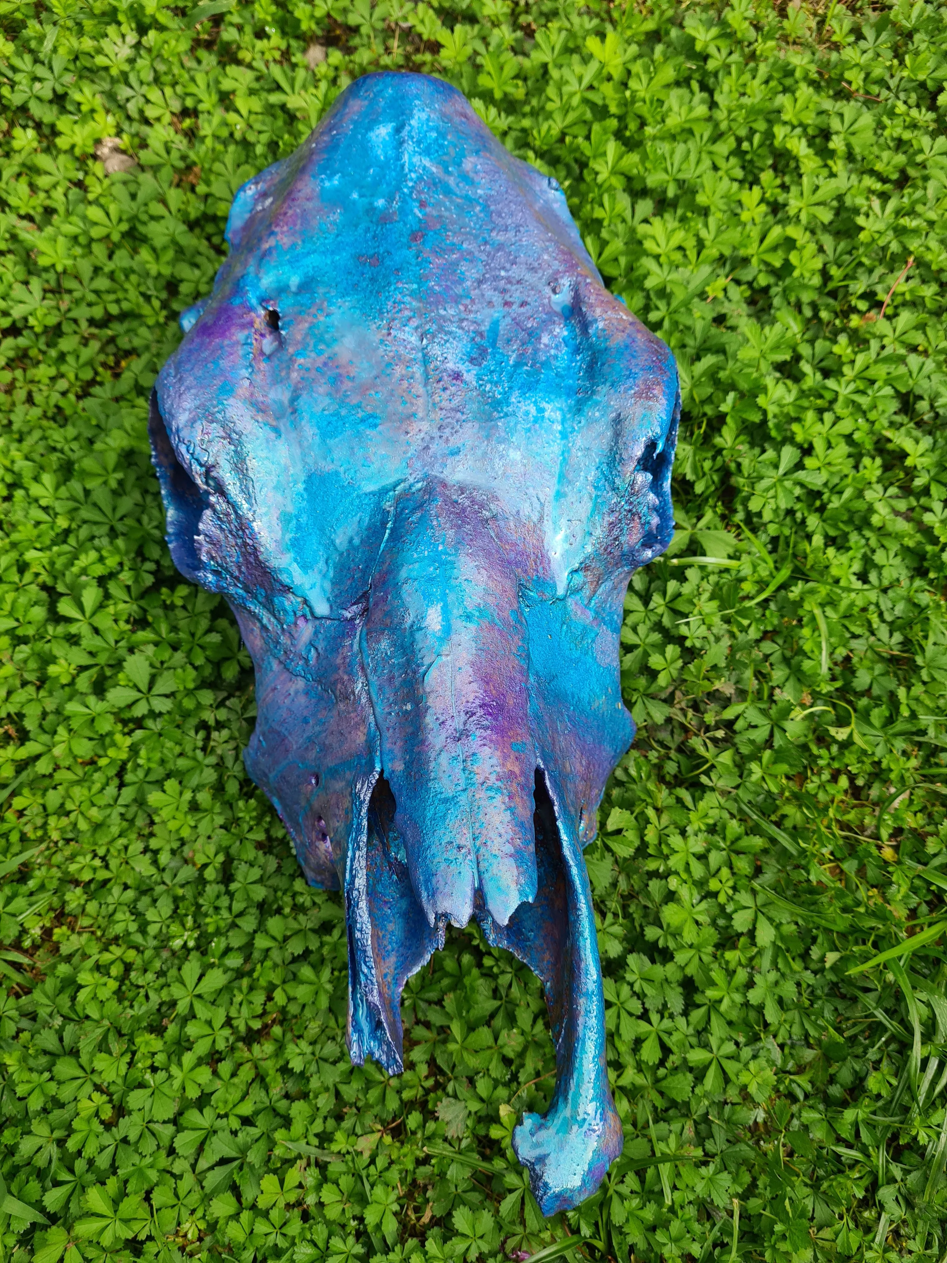 COST🔥GENUINE COW SKULL -backlit lighting ,painted with chameleon resin by me