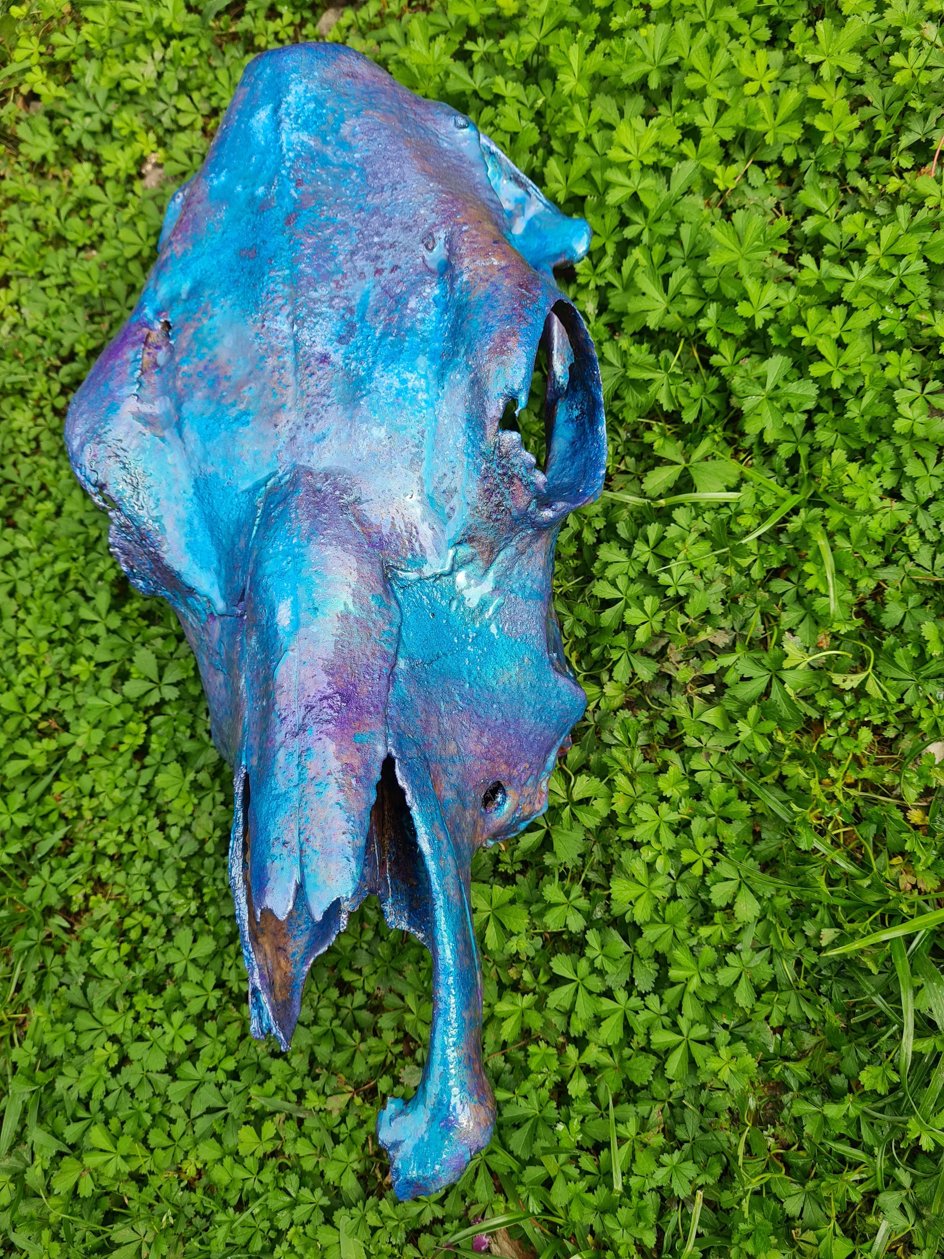 COST🔥GENUINE COW SKULL -backlit lighting ,painted with chameleon resin by me