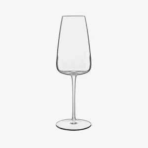 Luigi Bormioli | Talismano Prosecco/ Sparkling Wine Glasses - Set of 4