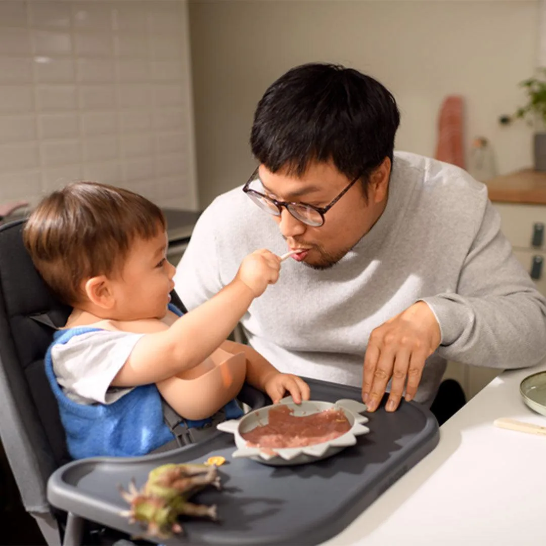 Maxi-Cosi Ava Highchair  Eco - Beyond Graphite