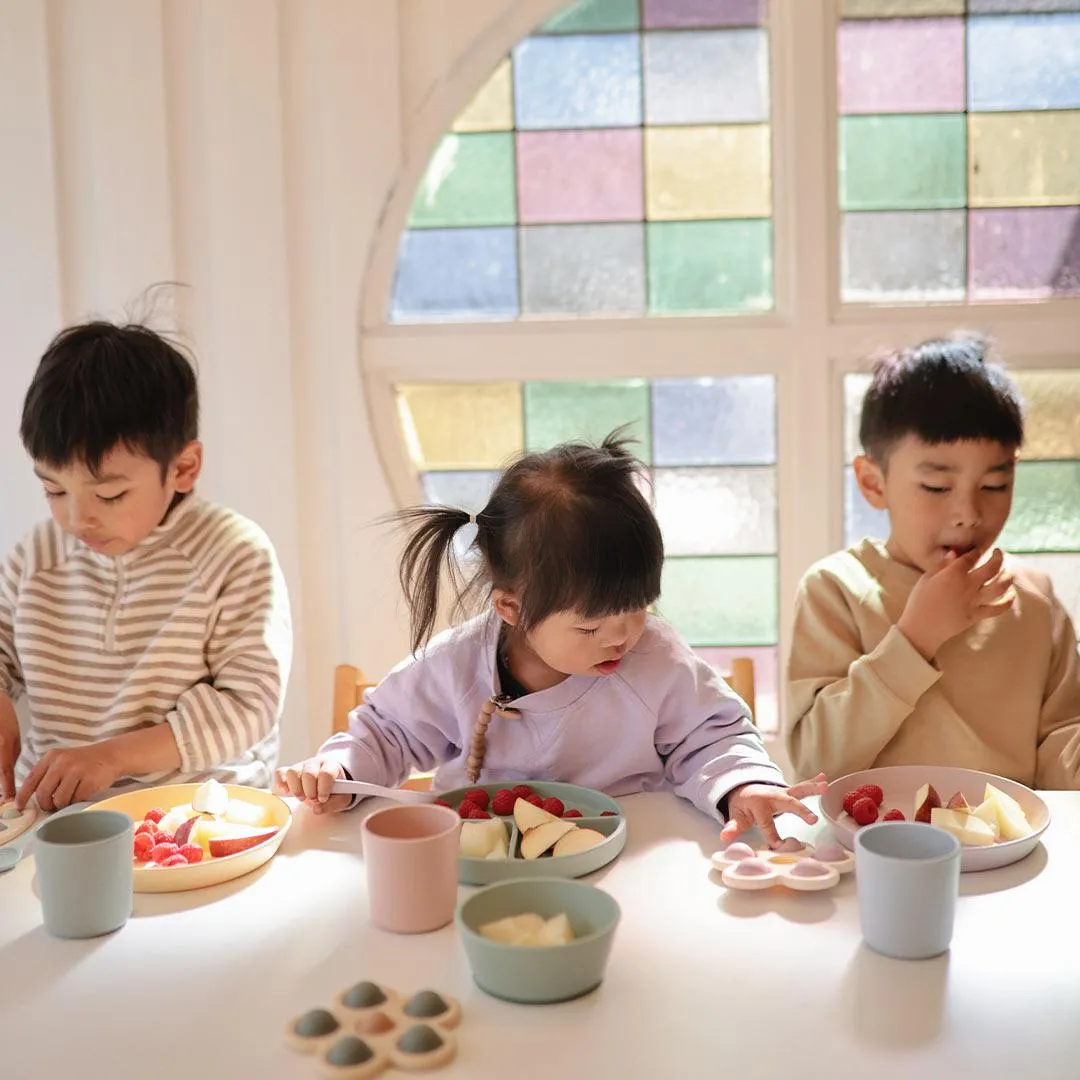 Mushie Silicone Suction Plate - Blush
