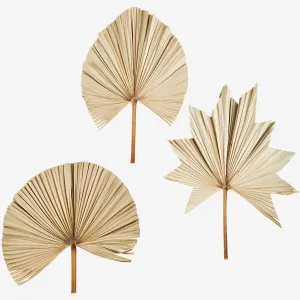 Palm Leaves (Set of 3)