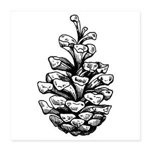 PINE Poster 16x16