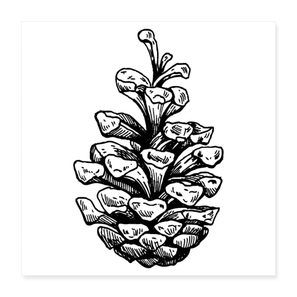 PINE Poster 16x16