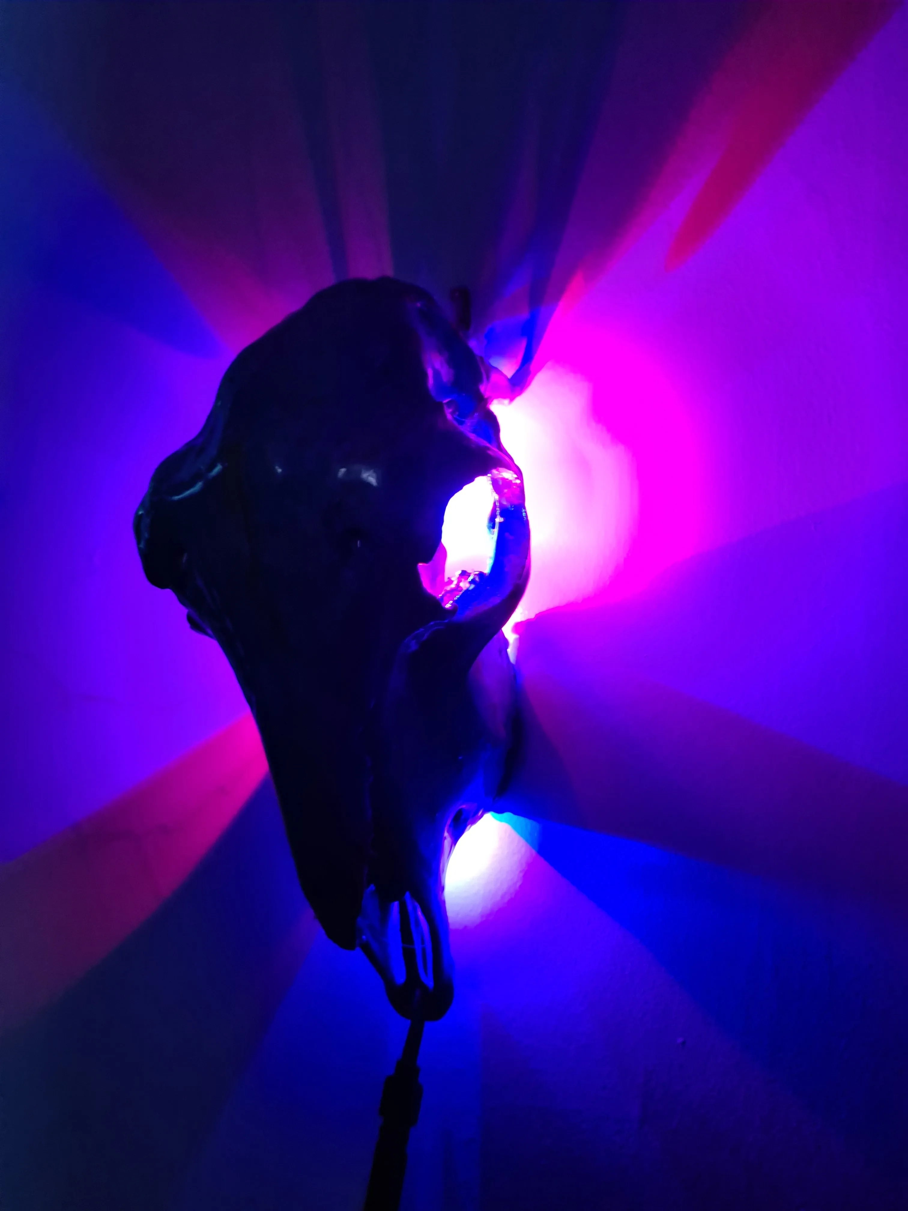 Sale💥Genuine sheep skull backlit with resin painted by me also glows purple in the dark