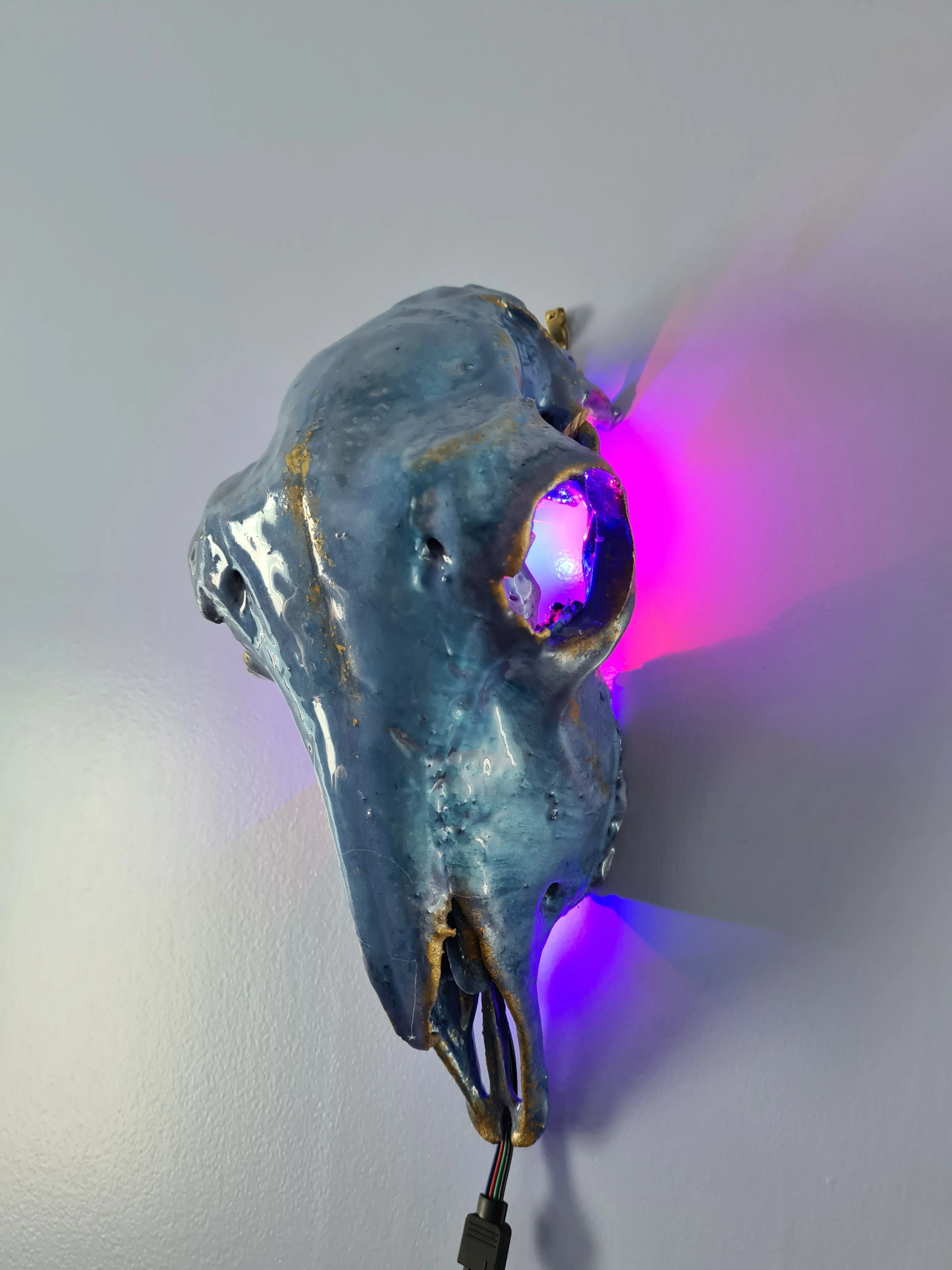 Sale💥Genuine sheep skull backlit with resin painted by me also glows purple in the dark