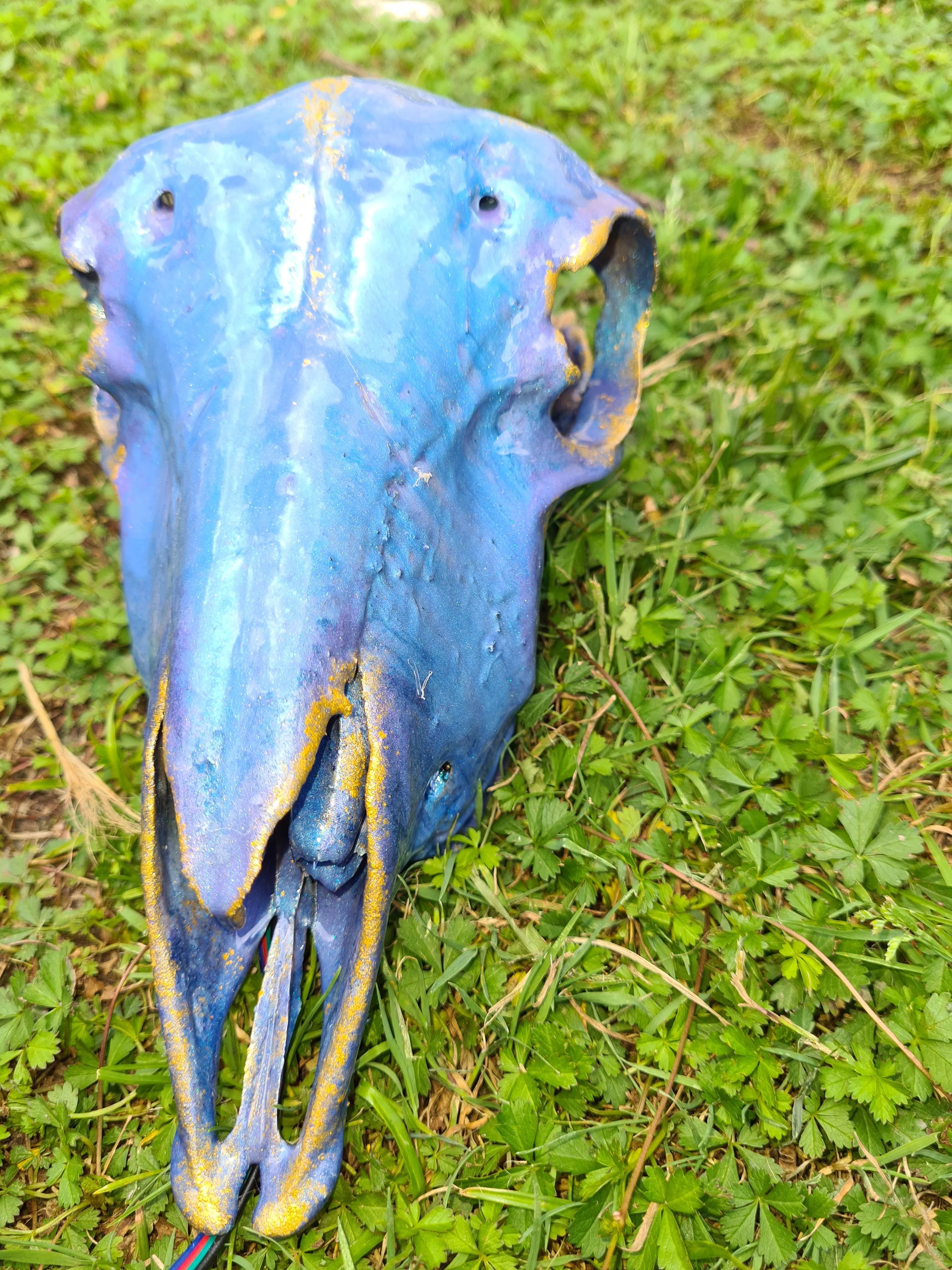 Sale💥Genuine sheep skull backlit with resin painted by me also glows purple in the dark