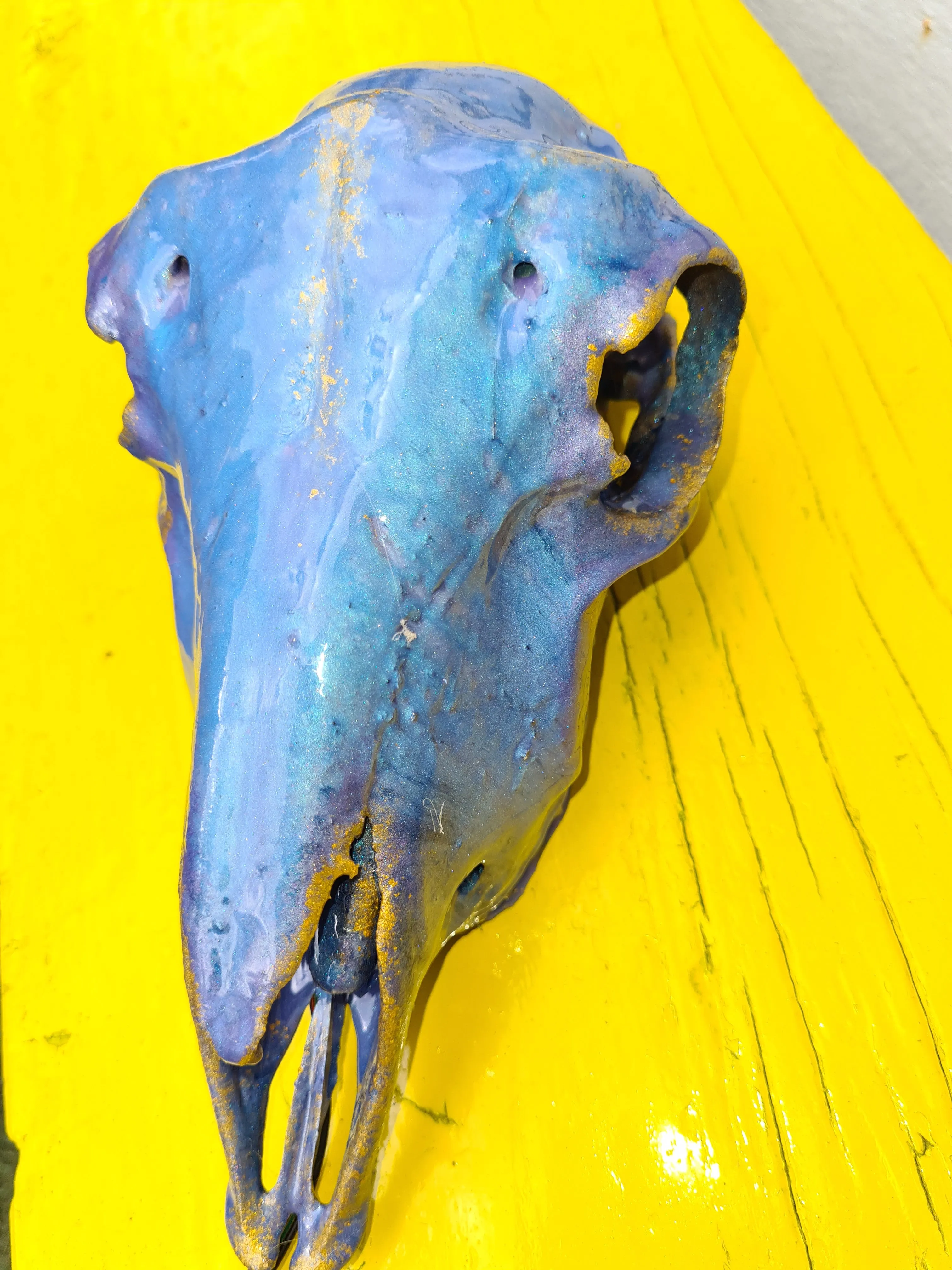 Sale💥Genuine sheep skull backlit with resin painted by me also glows purple in the dark