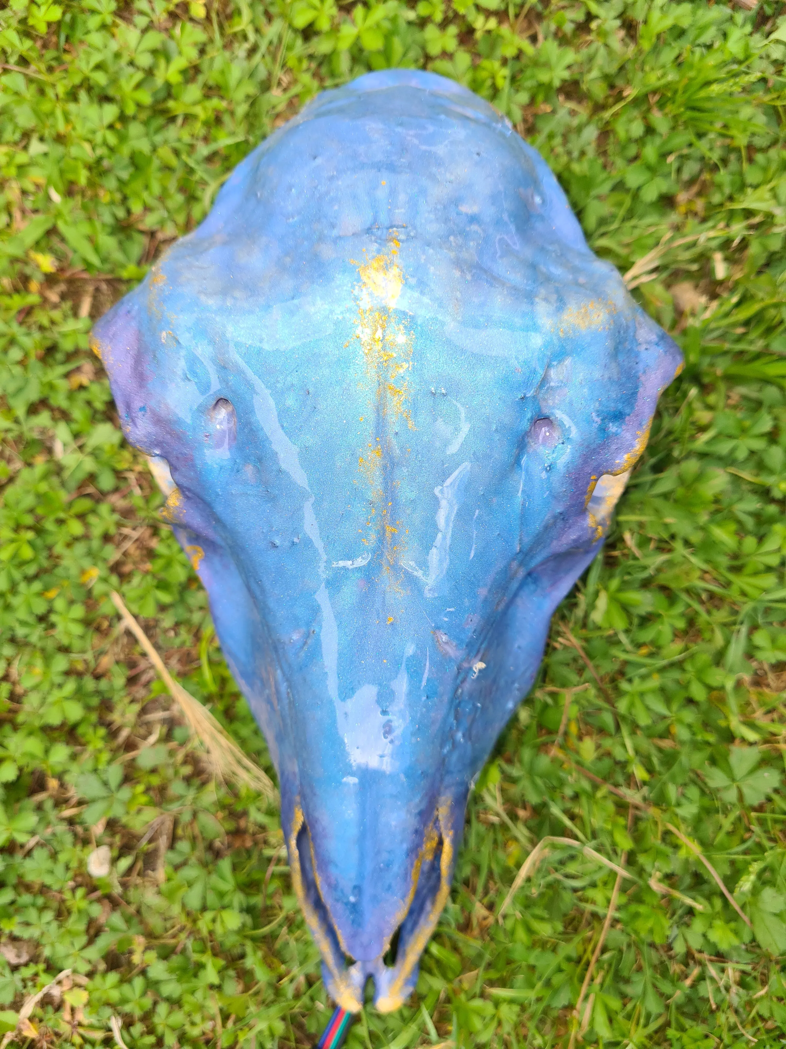 Sale💥Genuine sheep skull backlit with resin painted by me also glows purple in the dark