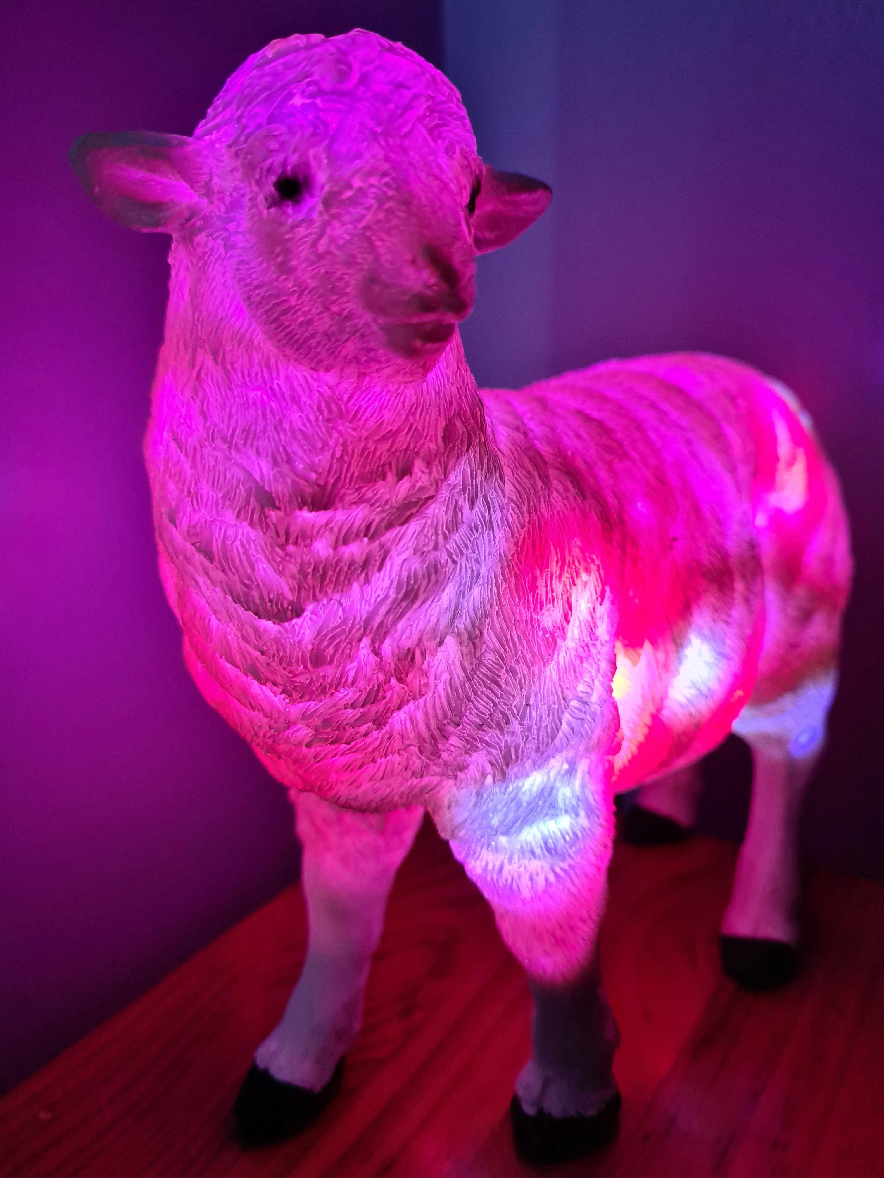 Sale💥SHEEP LAMP-made by me