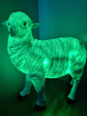 Sale💥SHEEP LAMP-made by me