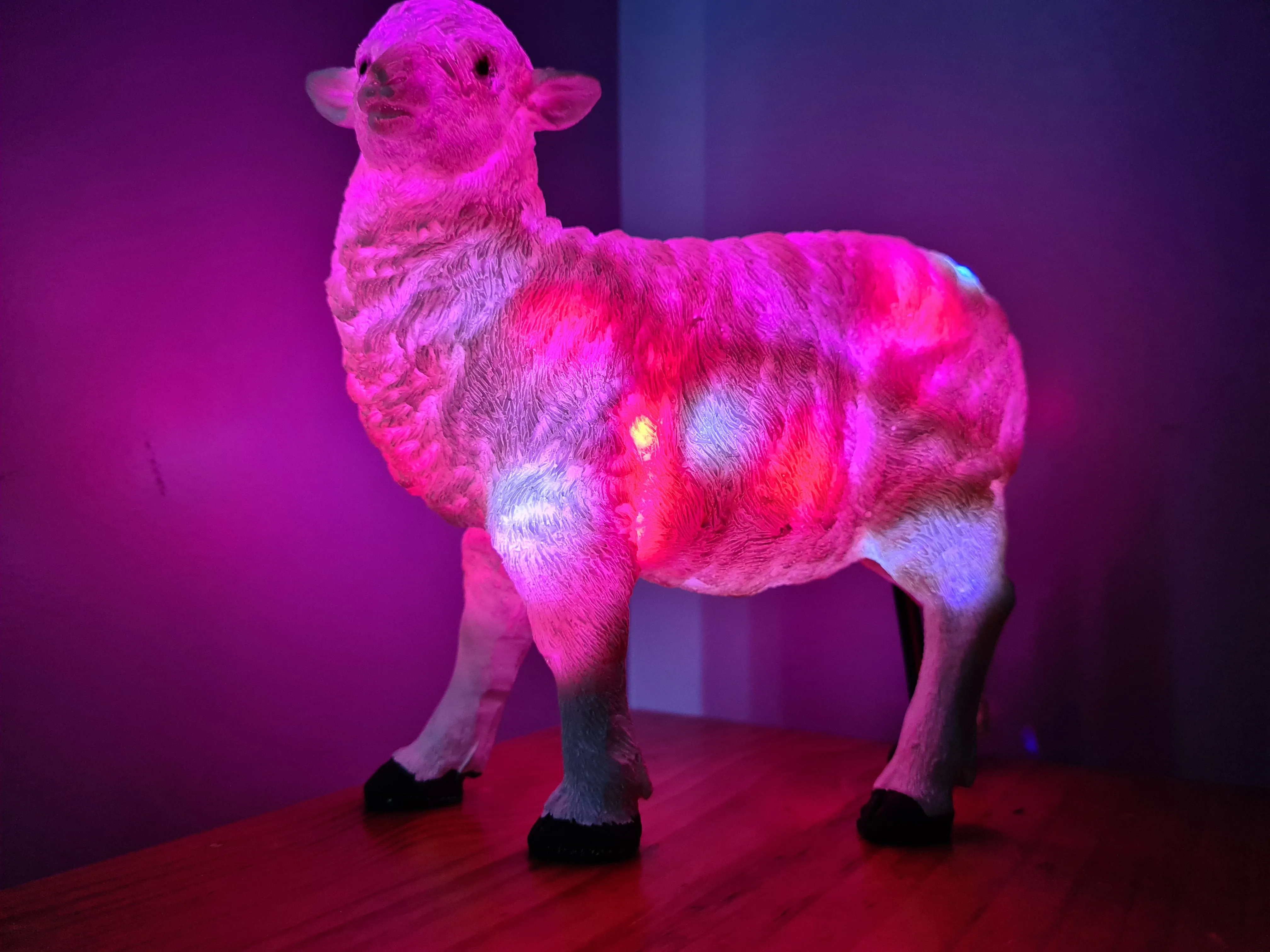 Sale💥SHEEP LAMP-made by me