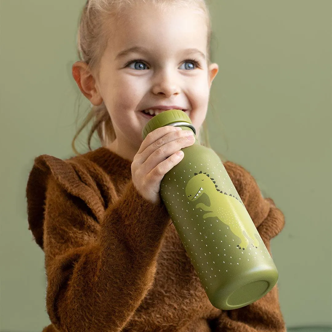 Trixie Drinking Bottle - 500ml - Mr Dino