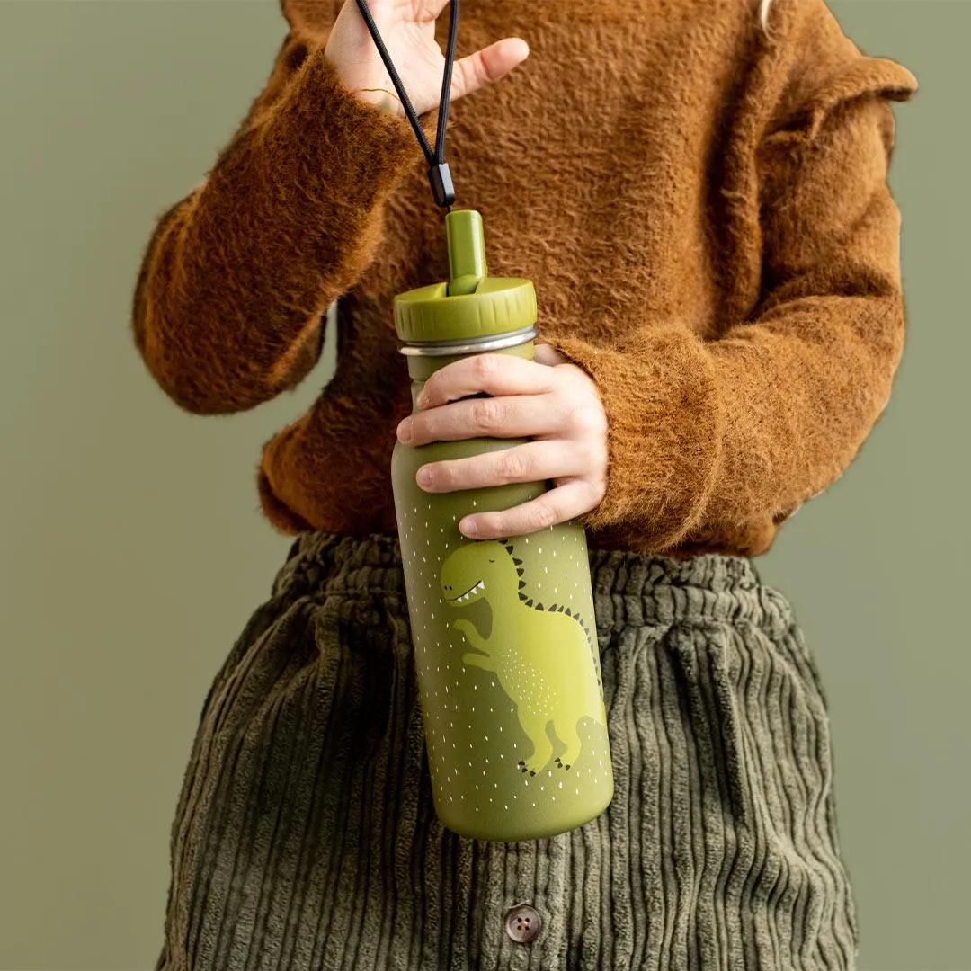 Trixie Drinking Bottle - 500ml - Mr Dino